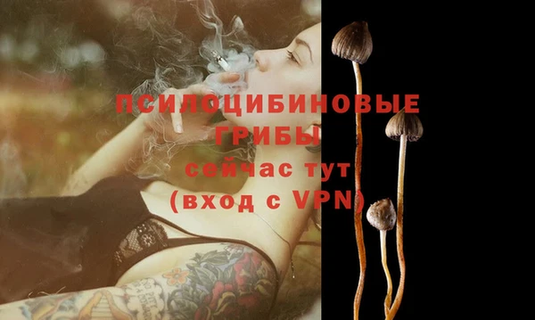 PSILOCYBIN Белокуриха